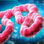 ebola